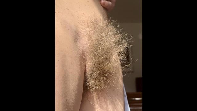 Hairy Sara's wild bush